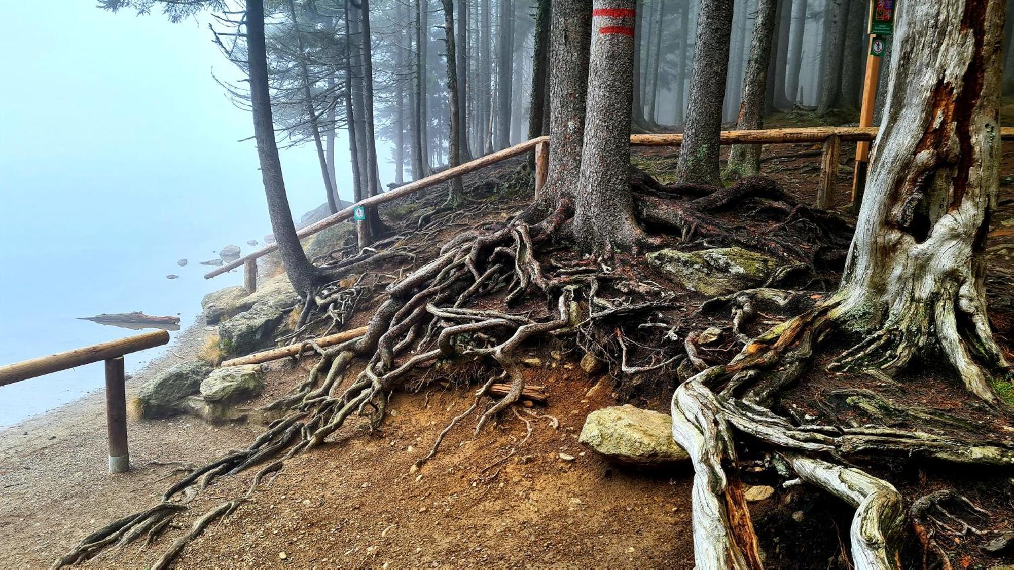 Penzion Dominik Železná Ruda Exterior foto